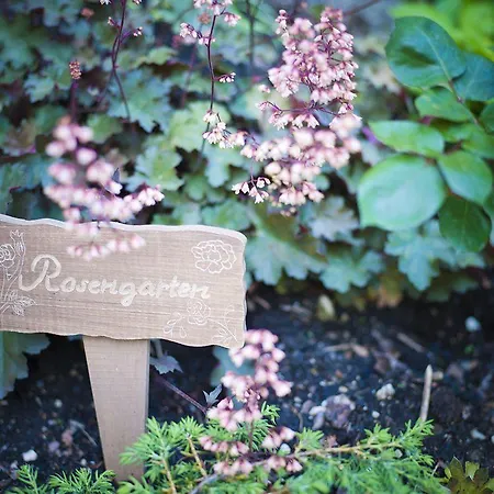 Gaestehaus Eva-maria Hotel